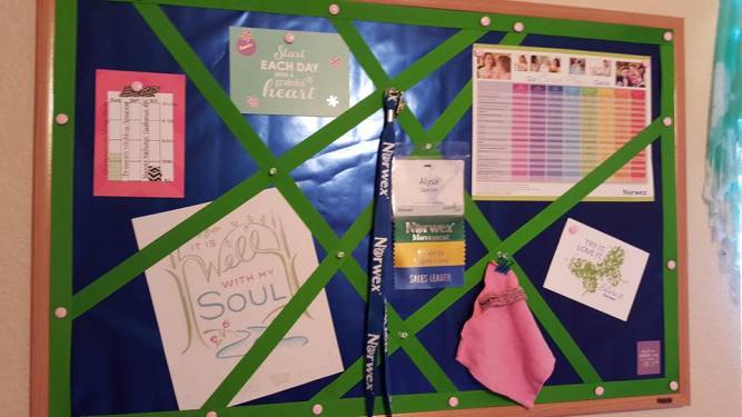 12565511_10208484992911465_2716739351803525186_n