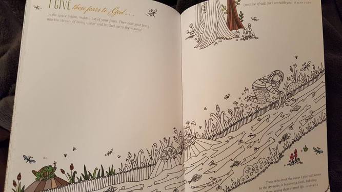 14040115_10210432761564464_2475955471249294592_n-2