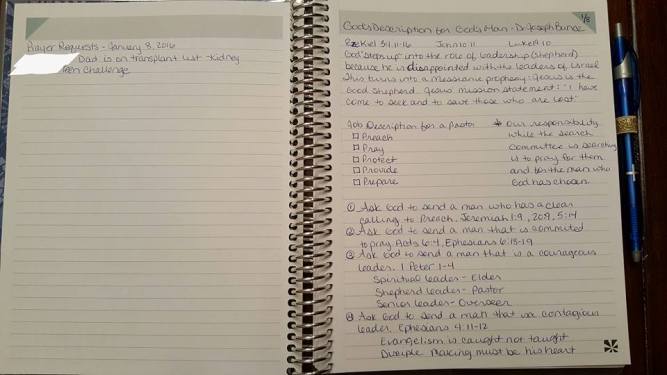 15977253_10211879171963820_5025515843104989077_n