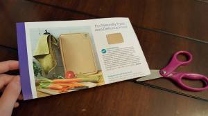 15977871_10211943407889678_4626599351210500183_n