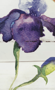 Screen Shot 2017-04-13 at 11.30.42 AM