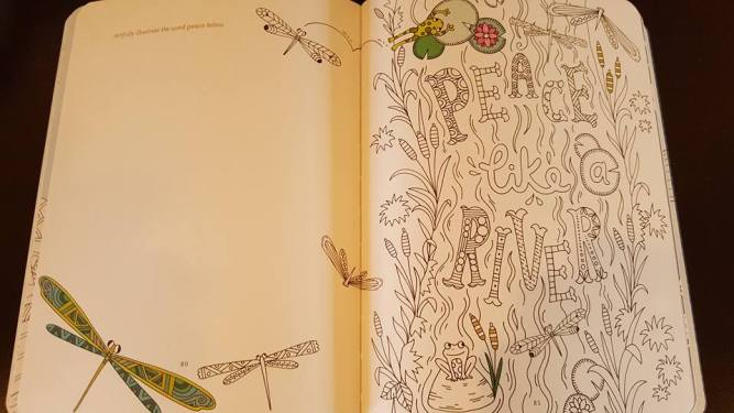 20292832_10213813790568076_1772134597852746741_n